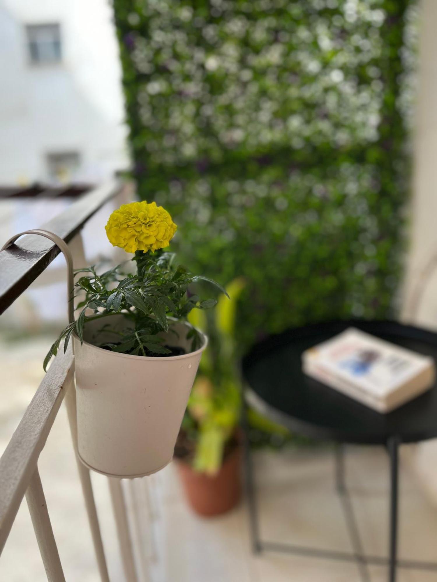 Christella Corfu Town Apartment Εξωτερικό φωτογραφία
